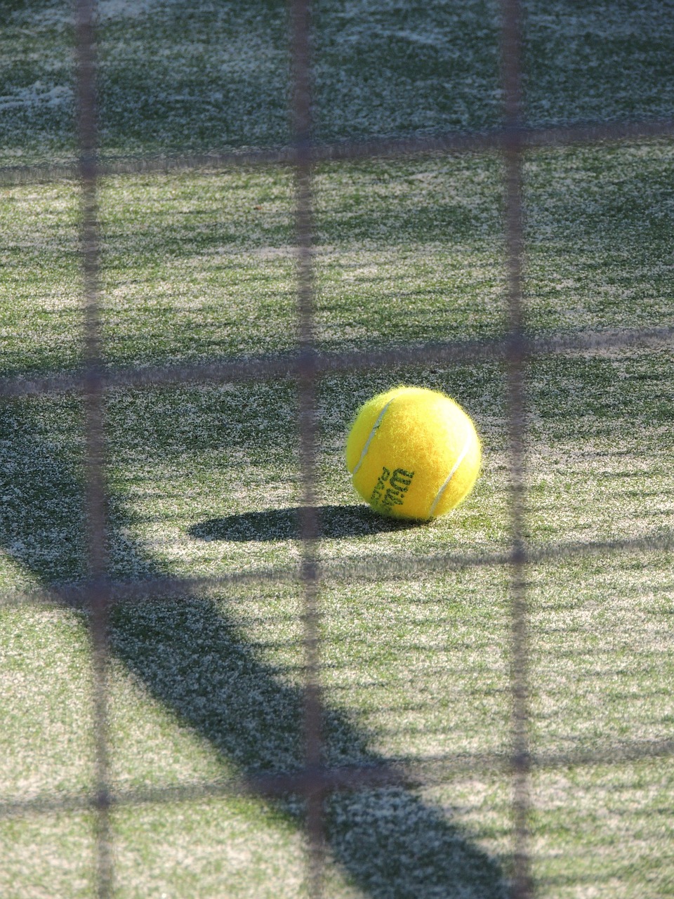padel tenis