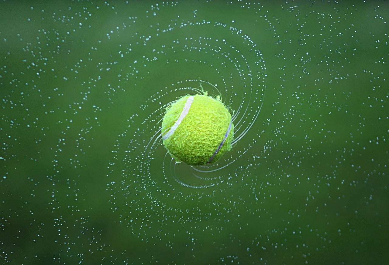 pelota de tenis